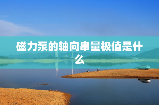 磁力泵的轴向串量极值是什么
