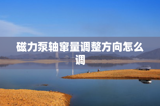 磁力泵轴窜量调整方向怎么调