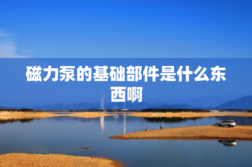 磁力泵的基础部件是什么东西啊