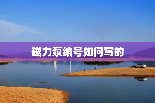 磁力泵编号如何写的
