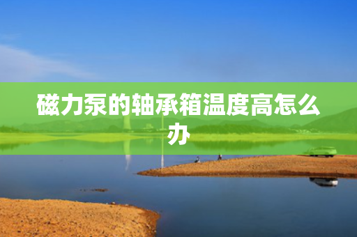 磁力泵的轴承箱温度高怎么办