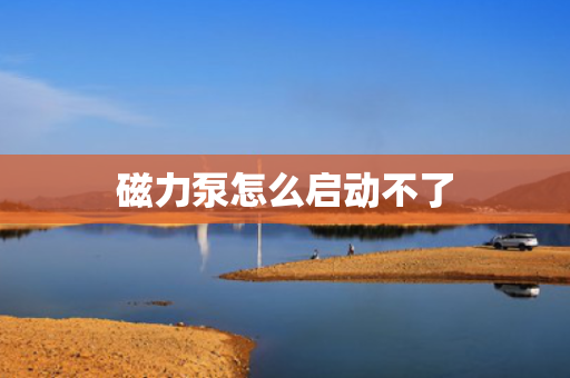 磁力泵怎么启动不了