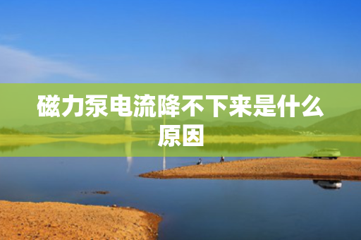 磁力泵电流降不下来是什么原因