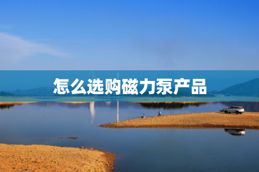怎么选购磁力泵产品