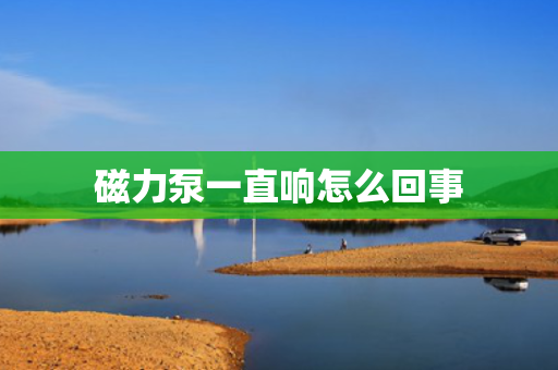 磁力泵一直响怎么回事