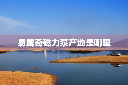 易威奇磁力泵产地是哪里