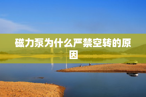 磁力泵为什么严禁空转的原因