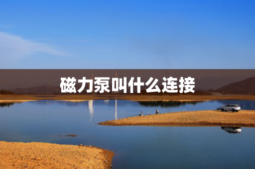 磁力泵叫什么连接