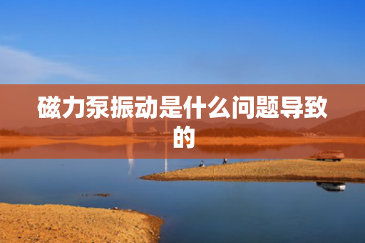 磁力泵振动是什么问题导致的