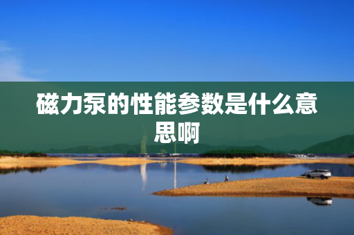 磁力泵的性能参数是什么意思啊