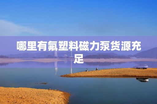 哪里有氟塑料磁力泵货源充足