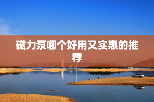 磁力泵哪个好用又实惠的推荐