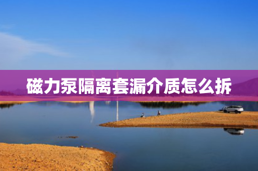 磁力泵隔离套漏介质怎么拆