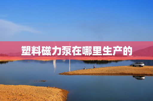 塑料磁力泵在哪里生产的