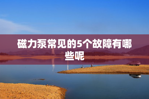 磁力泵常见的5个故障有哪些呢