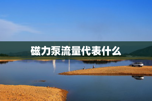磁力泵流量代表什么