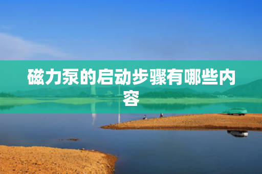 磁力泵的启动步骤有哪些内容