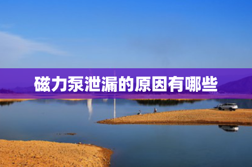 磁力泵泄漏的原因有哪些
