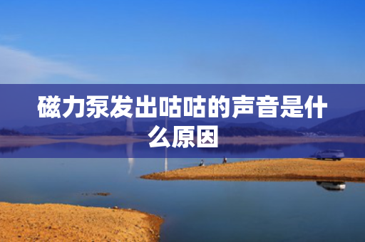磁力泵发出咕咕的声音是什么原因