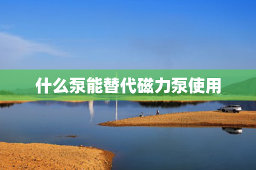什么泵能替代磁力泵使用