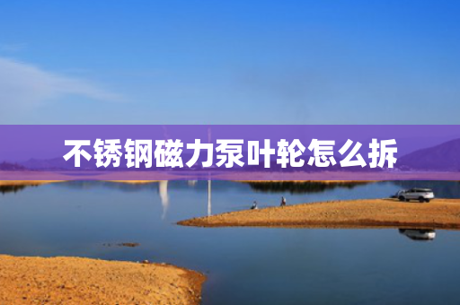 不锈钢磁力泵叶轮怎么拆