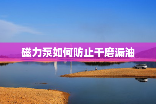 磁力泵如何防止干磨漏油