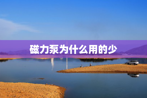 磁力泵为什么用的少