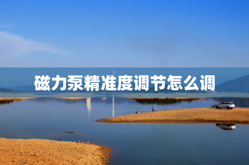 磁力泵精准度调节怎么调