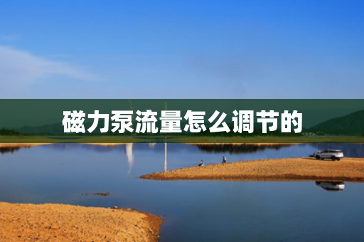 磁力泵流量怎么调节的