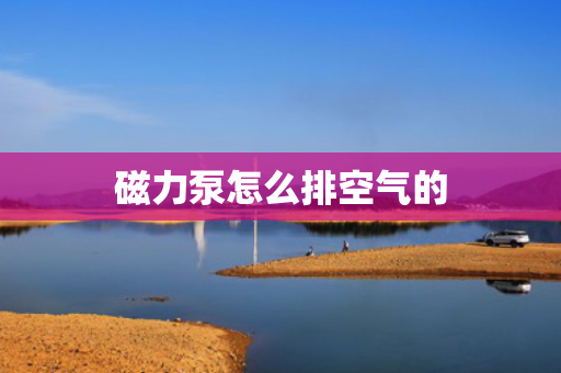 磁力泵怎么排空气的