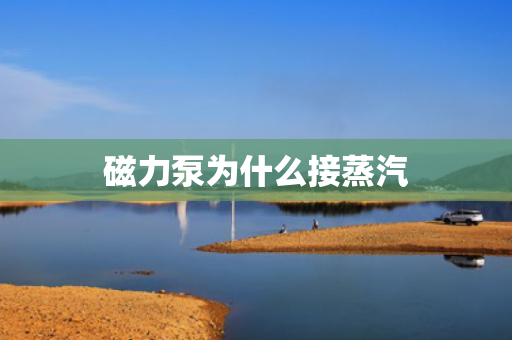 磁力泵为什么接蒸汽