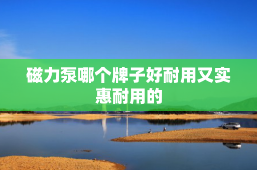 磁力泵哪个牌子好耐用又实惠耐用的