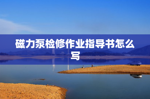 磁力泵检修作业指导书怎么写