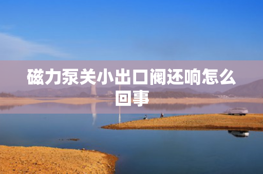 磁力泵关小出口阀还响怎么回事