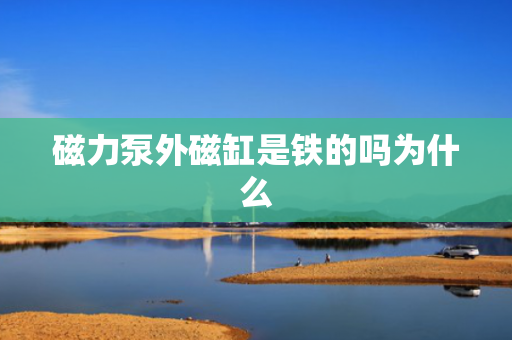 磁力泵外磁缸是铁的吗为什么