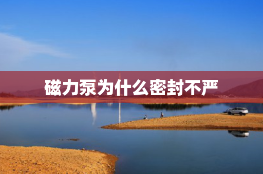 磁力泵为什么密封不严