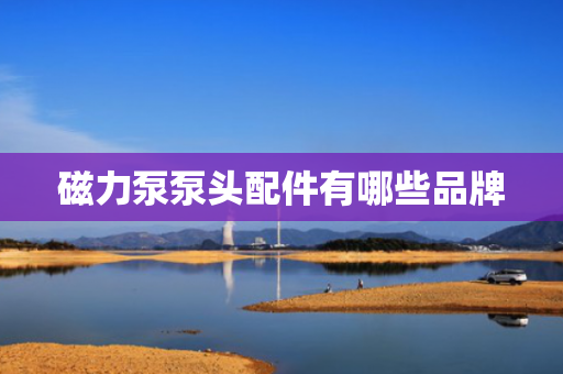 磁力泵泵头配件有哪些品牌