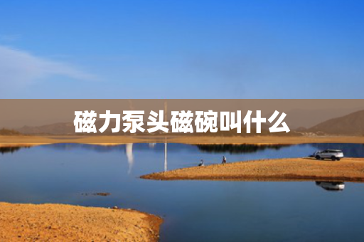 磁力泵头磁碗叫什么