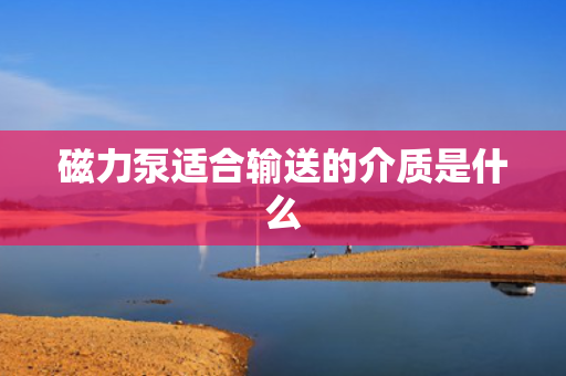 磁力泵适合输送的介质是什么