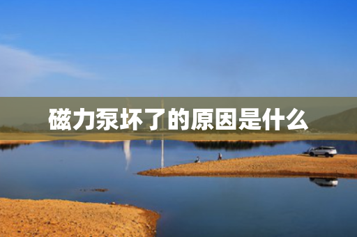 磁力泵坏了的原因是什么