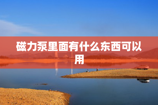磁力泵里面有什么东西可以用