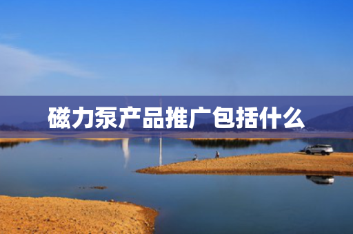 磁力泵产品推广包括什么