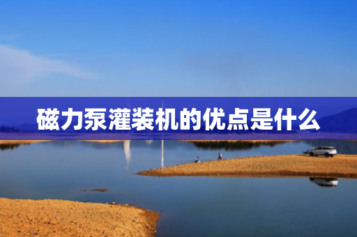 磁力泵灌装机的优点是什么