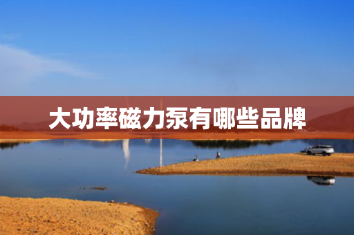 大功率磁力泵有哪些品牌