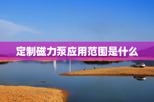 定制磁力泵应用范围是什么