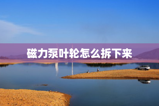 磁力泵叶轮怎么拆下来