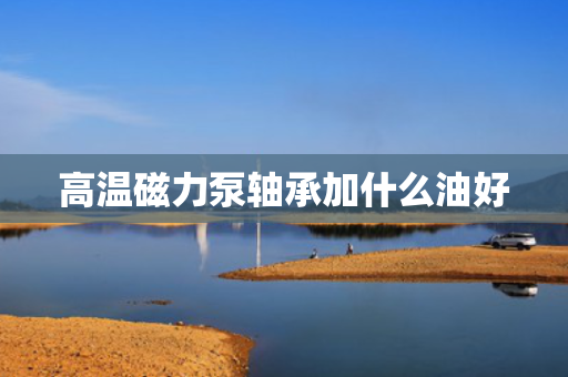 高温磁力泵轴承加什么油好