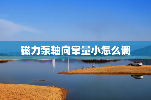 磁力泵轴向窜量小怎么调