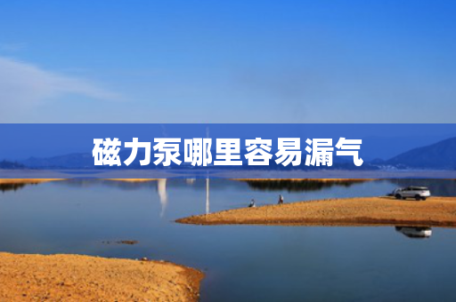 磁力泵哪里容易漏气