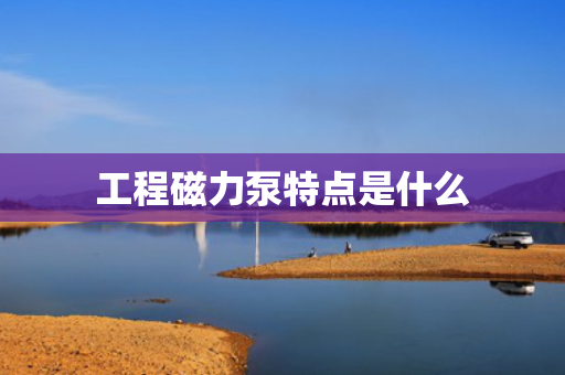 工程磁力泵特点是什么